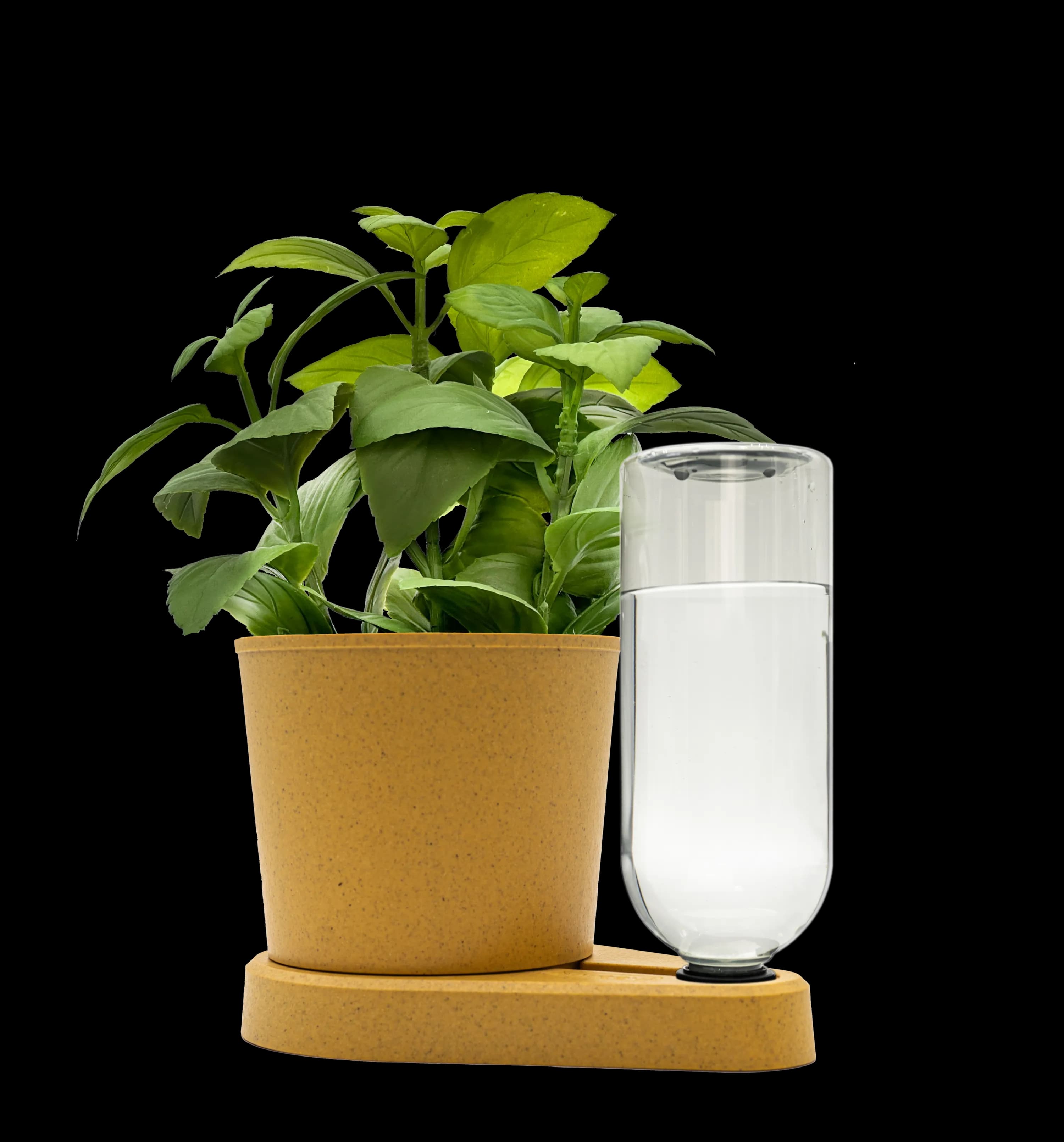 Kräuterheld Variante